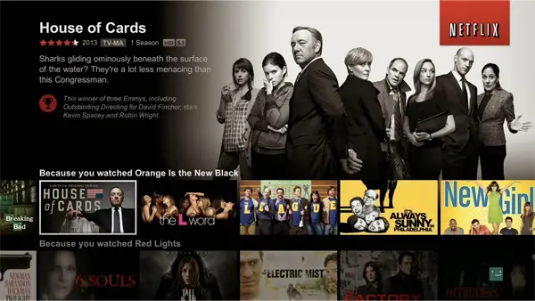 Netflix Interface