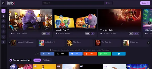 Bflix Interface