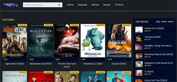 MoviesJoy Interface