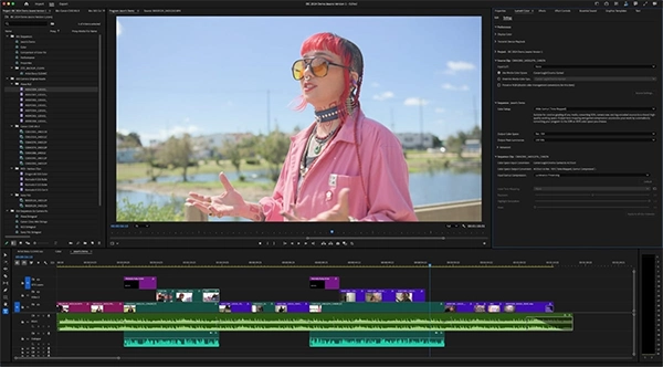 Adobe Premiere Pro