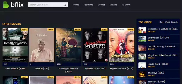 Bflix Interface