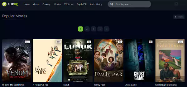 FlixHQ Interface