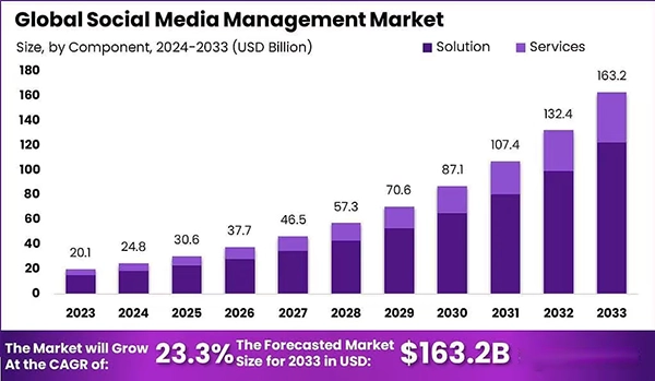 Global social media management market. 